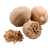 جوز هندی
