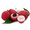 لیچی
