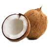 نارگیل