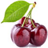 گیلاس